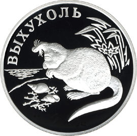 монета Выхухоль 1 рубль 2000 года. реверс