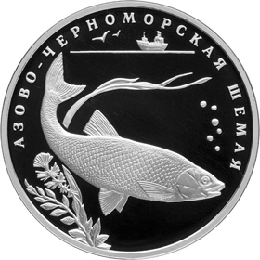 монета Азово-черноморская шемая 2 рубля 2008 года. реверс