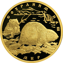 монета Речной бобр 100 рублей 2008 года. реверс