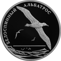 Белоспинный альбатрос реверс