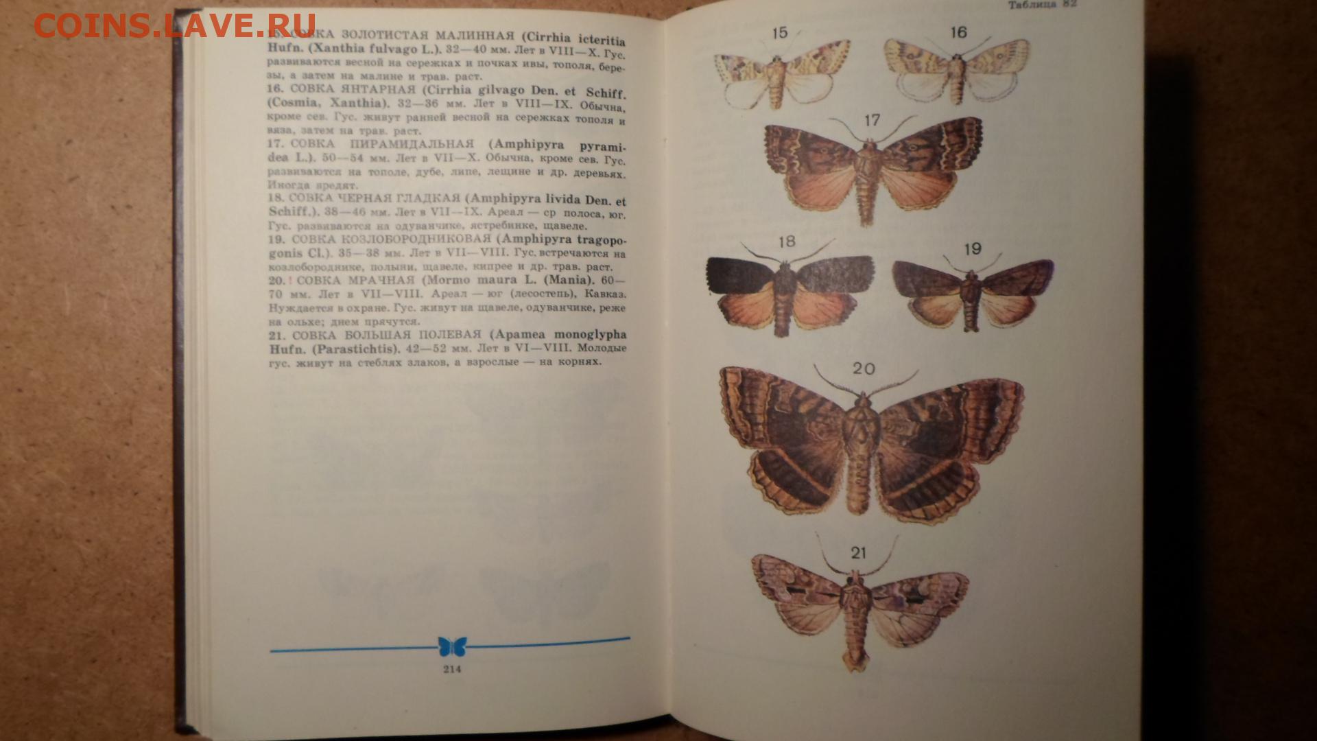Зеленые страницы бабочки 2 класс. Школьный атлас определитель бабочек. Атлас определитель 4 бабочки. Определитель `атлас бабочек`.