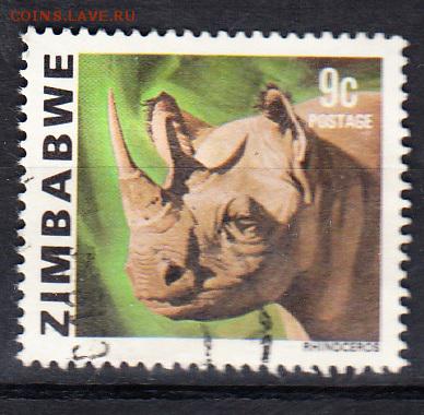 Зимбабве носорог - 12