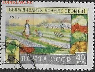 СССР 1954. Уборка овощей - С-446