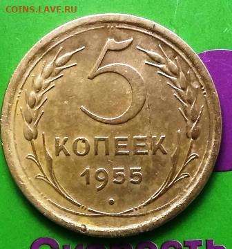 5 копеек 1955 - 5 коп 1955 (1)