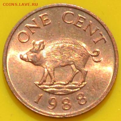 Бермудские острова 1 цент 1988. 29. 11. 2020 в 22 - 00. - DSC_0067.JPG
