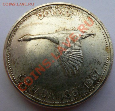 Коллекция иностранных монет, продолжение.(пополняемая). - P1120529