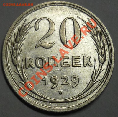 20 копеек 1928 и 1929гг. СССР круглые - 294.JPG