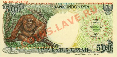 Индонезия 500 рупий 1992 до 10.09.12 в 22.00мск (2791) - img484