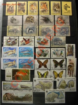 Меняю марки на марки фауну и вкладыши от жвачек - DSCN8398.JPG