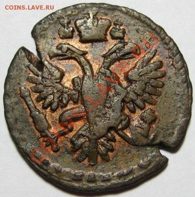 Коллекционные монеты форумчан (медные монеты) - ДЕНГА 1731 - аверс