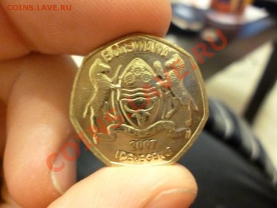 Куплю красивые, интересные и экзотиеские монеты любых стран! - P1000260.JPG