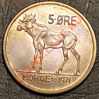 Норвегия	5 оре 1971г. - до 13.02.2013 - DSC_1426.JPG