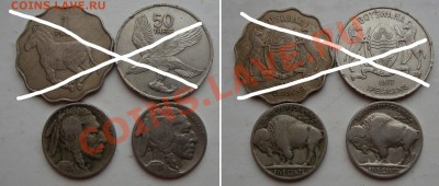 Распродажа иностранных монет  (январь-февраль) - 100RUB-CNS-01
