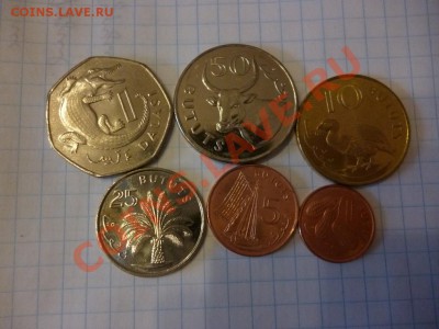 ДК Набор монет Гамбия животные 08.04 - P1020991.JPG