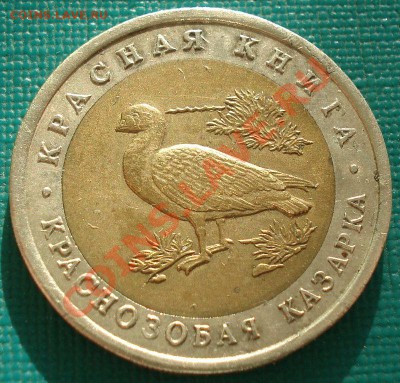 КК 10 рублей 1992 Казарка! до 22:00 08.05.13+15 - DSC02420.JPG