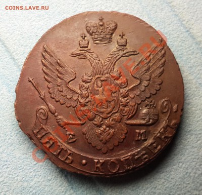 Коллекционные монеты форумчан (пятаки) - 20130619_201032
