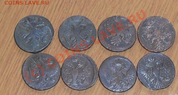 деньга 1737-1749 - SDC10664.JPG
