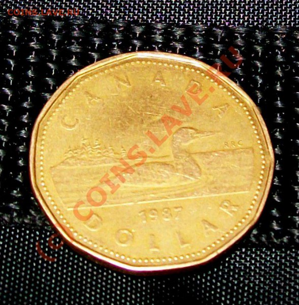1 доллар Канада 1987 (утка)________до 07.01___22:30 - 100_3852.JPG