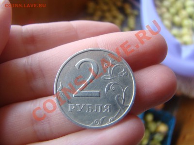 2 рубля 1999г ммд - 3шт - DSC05712.JPG
