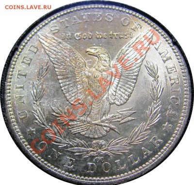 монеты США (вроде как небольшой каталог всех монет США) - Morgan Dollar 1884CC_1