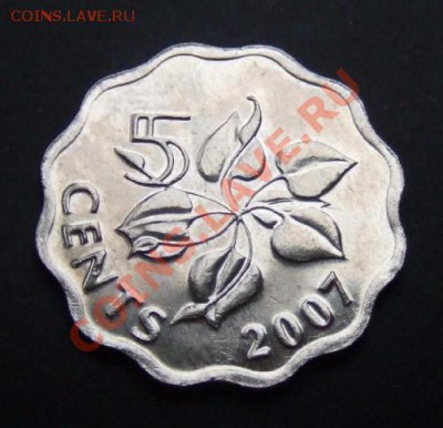 1 - Свазиленд 5 центов (2007) Орхидея Р