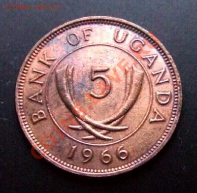 1 - Уганда 5 центов (1966) Р