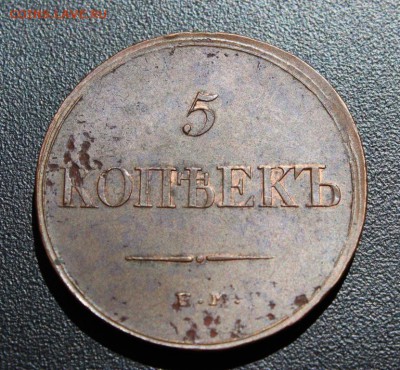 Коллекционные монеты форумчан (медные монеты) - IMG_1956.JPG