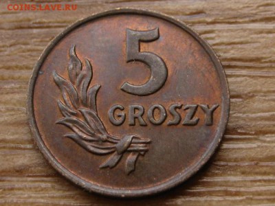 Польша 5 грошей 1949 бронза до 13.07.14 в 16.00 М - IMG_9660