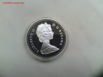Канада 1 доллар 1982 Бизон ПРУФ до 24.08 - IMG_20140812_155846