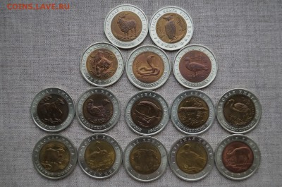 Красная Книга 15 монет 1991-1994г. до 22.00 мск  9.11.14 - DSC08002.JPG