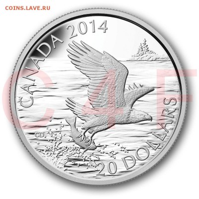 Куплю иностранные серебряные монеты - $_57 (6).JPG