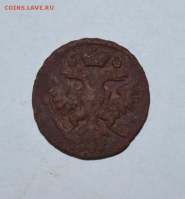 нечастая монета деньга 1741 год - DSC_1500.JPG