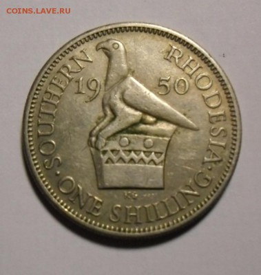 Южная Родезия 1 шиллинг 1950 нечастый год - CIMG3141.JPG