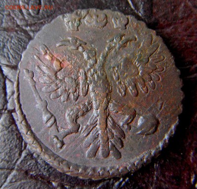 Коллекционные монеты форумчан (медные монеты) - SDC126241