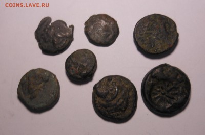 7 монет Пантикапей на оценку и спрос - DSCN8124