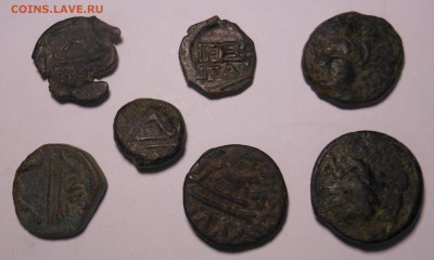 7 монет Пантикапей на оценку и спрос - DSCN8125