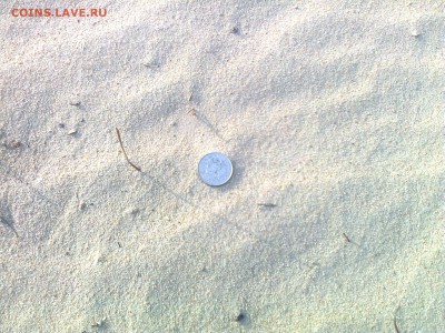 Поиск монет без мд - Фото5199