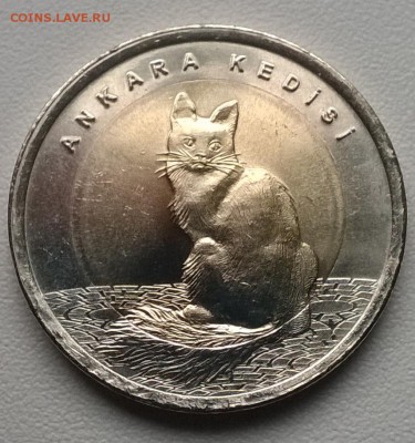 Турция 1 лира 2015 - Ангорская кошка - 22