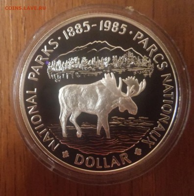 Канада 1 доллар 1985г. с 1 рубля! - 20150705_205211