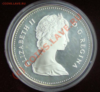 Канадские серебряные доллары в капсулах и без - DSC07643.JPG