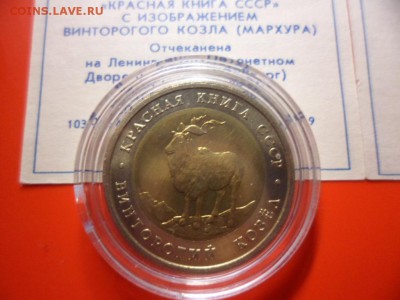 ФИКС. КК 1991 Филин и Козёл UNC 23.09.15 22.00 - SAM_3793.JPG