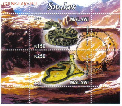 Малави мл 2011г Змеи до 8.11 22.00мск - Малави мл 2011г Змеи