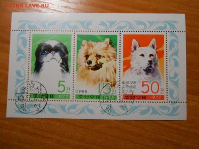 Собаки, серия в листе, Корея, до 23.11.2015 - DSCN1902.JPG