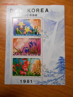 Цветы, серия в листе, Корея, до 30.11.2015 - DSCN1908.JPG