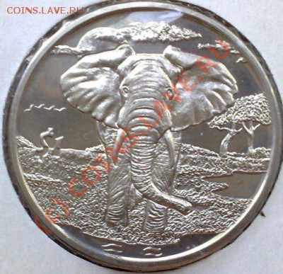 Монеты кронового размера с изображением животных - Слон-1