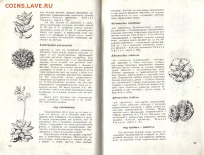 Книга Хаге Кактусы до 12.01 22.00мск - Хаге Кактусы-2