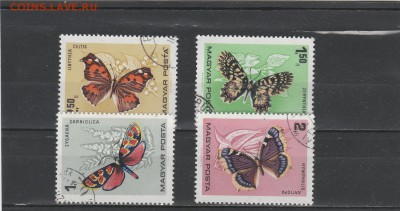 Бабочки (Венгрия) до 21.02 в 22.00 - IMG_20160219_0004
