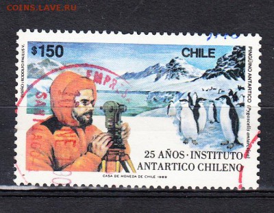 Чили 1989 пингвины - 49