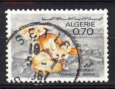 Алжир 1967 фауна - 61