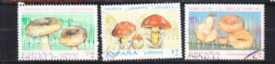 Испания грибы - Копия (11) 69
